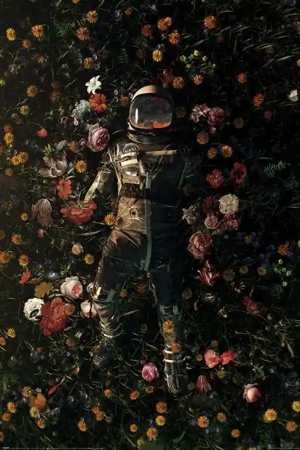 Zniżka Nicebleed Garden Delights - plakat