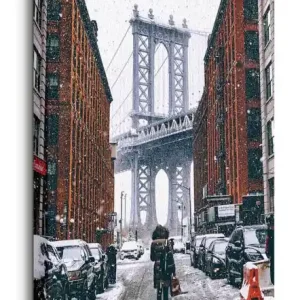 Zimowy Brooklyn - obraz na płótnie Tani