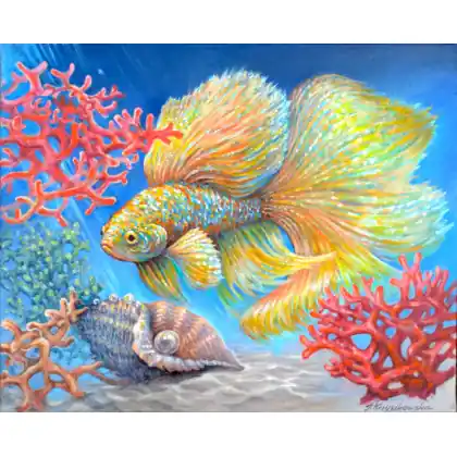 Złota Rybka - Bojownik 50x40cm Do wyczerpania zapasów