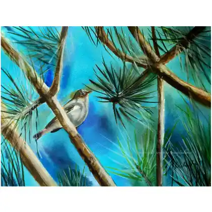 Premium W turkusach