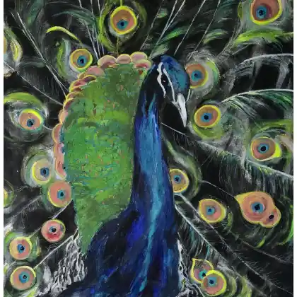 Najlepsza cena Lady blue