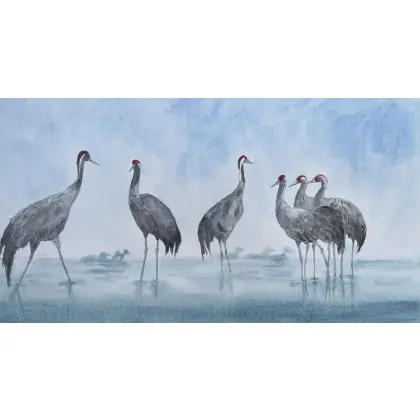 Ostatnia szansa Żurawie w błękitach (54,5x29,5cm)