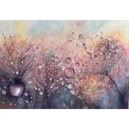 Promocja Rosa (50x70 cm)