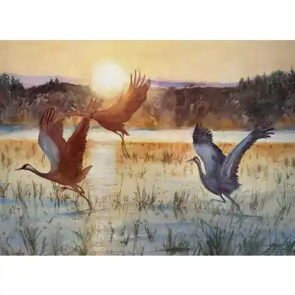 Premium Żurawie (50x70 cm)