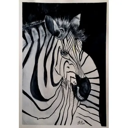 Zamów teraz Zebra.