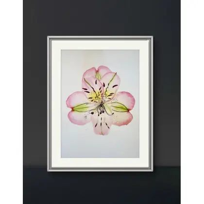 Akwarela A4 Alstroemeria Łatwy zwrot