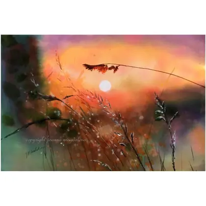 Ochrona 60 cm x 90 cm Łatwy zwrot