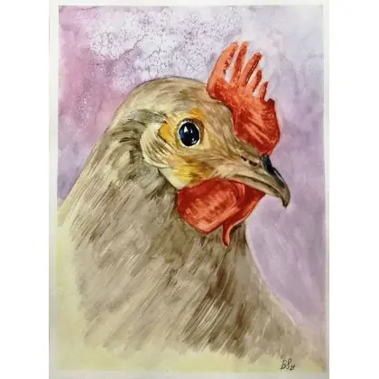 Kogucik. Niska cena