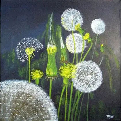 Dmuchawce. wym. 400x400 mm Dodaj do koszyka