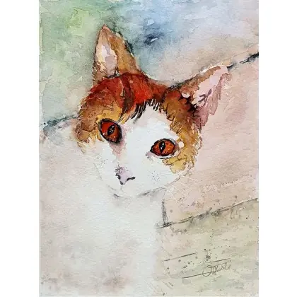 Portret kotki, Akwarela 24x32 cm. Oferta