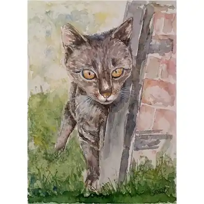 Ekspresowa dostawa Kociak, Akwarela 24 x 32 cm.