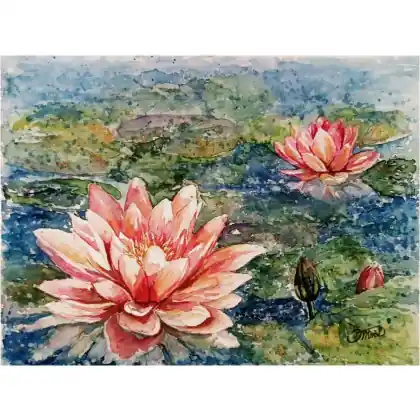Lilie wodne, Akwarela 24 x 32 cm. Sprawdź teraz