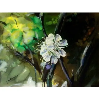 Nowy Innocence 30 cm x 40 cm