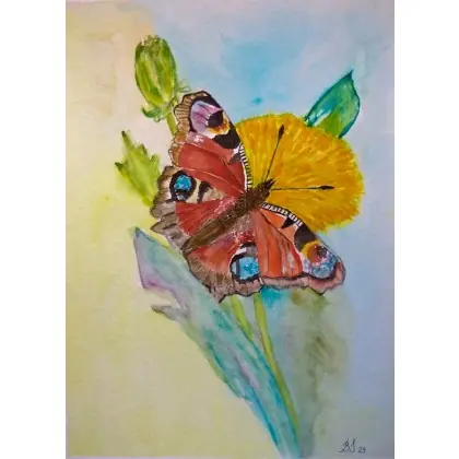 Darmowy zwrot Motyl.