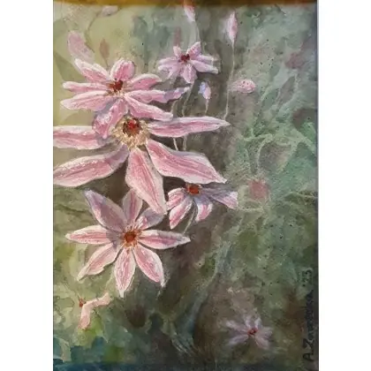 Clematis 2 Kup online
