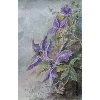 Kup teraz Clematis