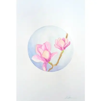 Magnolia Kup online