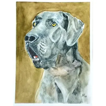 Dog. Ostatnia szansa