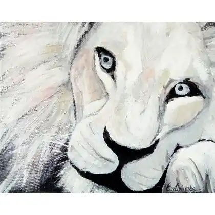 white lion Najlepsza cena