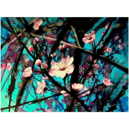 Wyjątkowa oferta Kwitnienie * (płótno,60 cm x 45 cm)