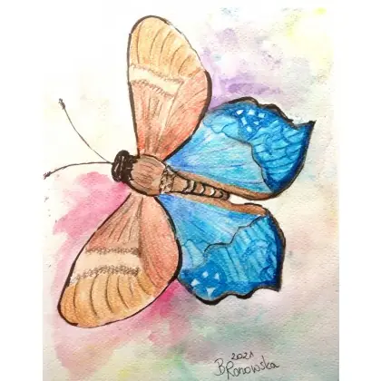 Motyl Dodaj do koszyka