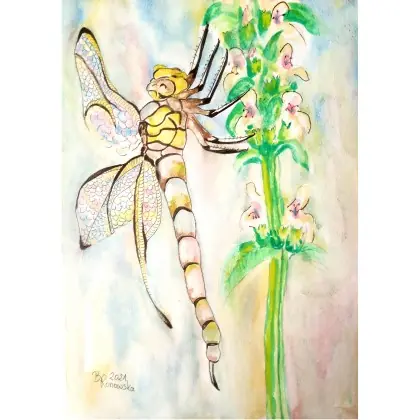 Ważka Hit sprzedaży