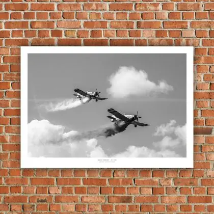 Plakat 100x70 cm - Dromader 2 Nowość