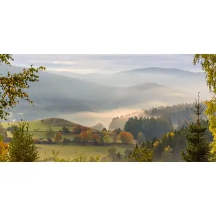 Dostępne od ręki Kraina Shreka