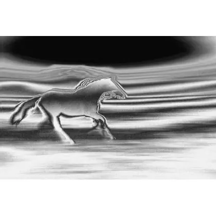 Galop Kup online