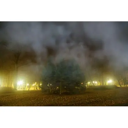 Park w szpitalu w lutym. Nowość