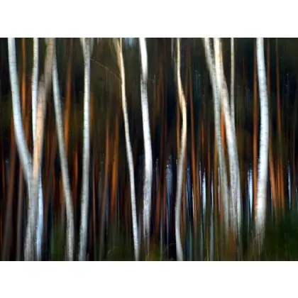 Fotografia czyli obserwacja. Oferta