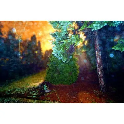 Wybór klientów Noc w moim ogrodzie,styczeń.