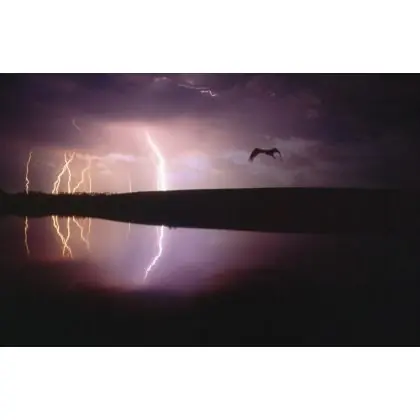 Escape. Szybka dostawa