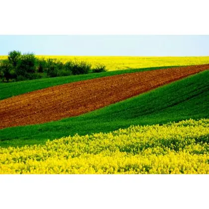 Hit sprzedaży Krajobraz Opolszczyzny w maju.