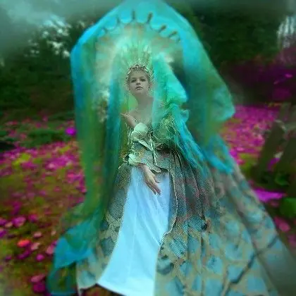 THE ELVEN QUEEN Kup online