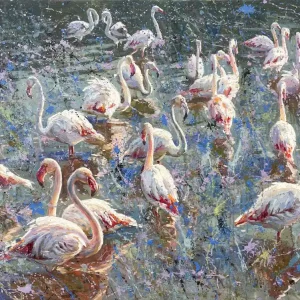 Zniżka Staw flamingów