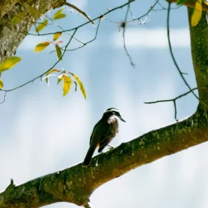 Życie w naturze Zniżka