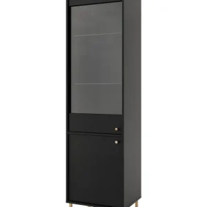 Witryna Tokyo 2 Czarny (2F, Typ 101) Wybór klientów